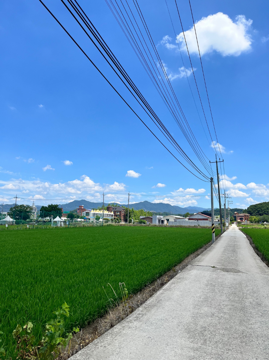 郡上市の街並みとホームページ制作の親和性