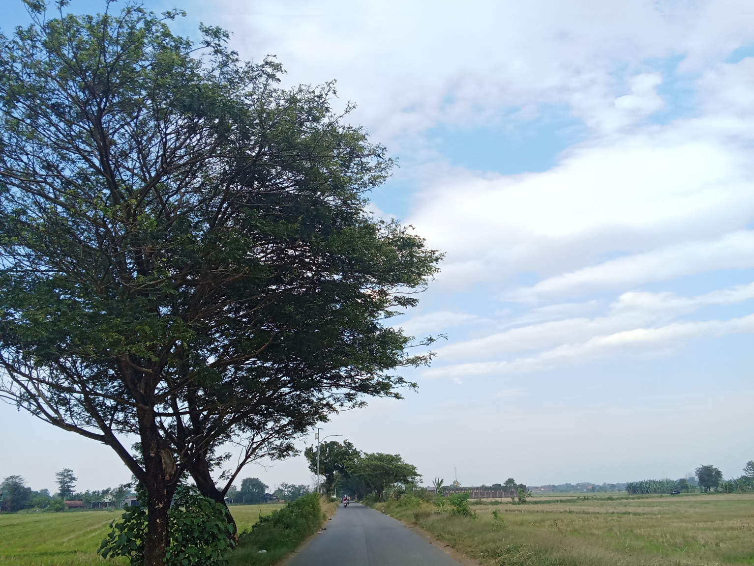 富加町の産業を活性化するWebサイト